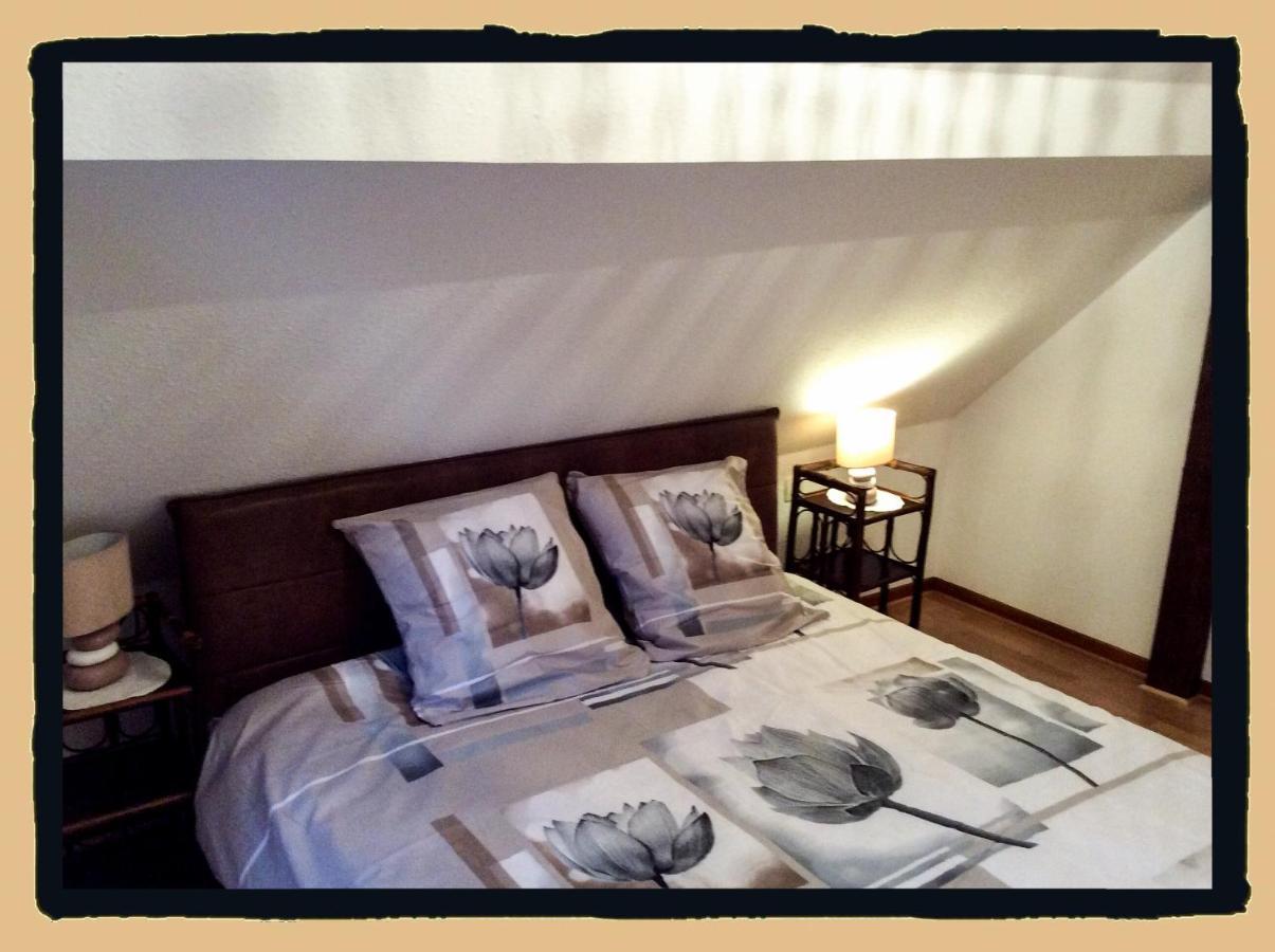 Residence Des Lentilles Schiltigheim Eksteriør billede